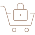 100% Secure Checkout